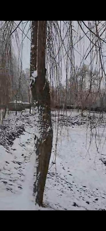 Bağ evlərinin satışı: Qəbələ, 16000 kv. m, 3 otaqlı, Hovuzsuz, İnternet — 17