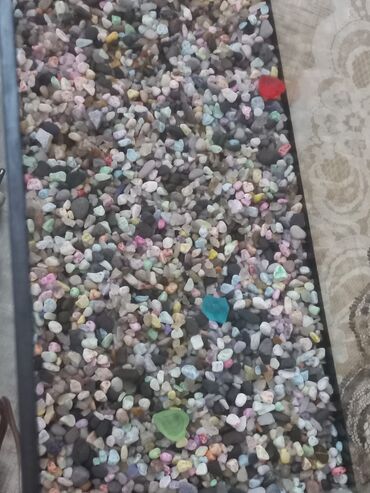 Akvariumlar: Akvarum satılır 40 selqiledir lazim üçün fso — 2