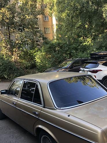к7 kia: Mercedes-Benz W123: 1981 г., 2.8 л, Механика, Бензин, Седан — 6