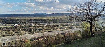 Torpaq sahələrinin satışı: Tikinti, Mülkiyyətçi — 13