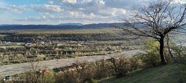 Torpaq sahələrinin satışı: Tikinti — 12