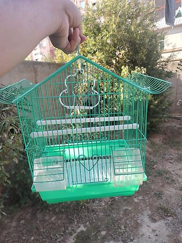 bulbul satışı: Papuqay ucun qefes satilir 1 eded 10 azn — 3