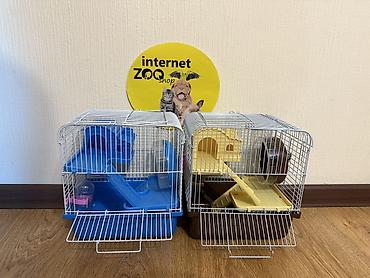 Зоотовары: Есть одноэтажные, двухэтажные, трехэтажные, с трубами и туннелями — 14