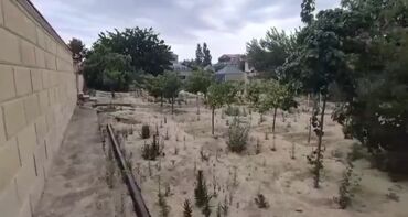 Bağ evlərinin satışı: Bakı, Novxanı, 300 kv. m, 6 otaqlı, Artezian quyusu, İnternet, Telefon — 19