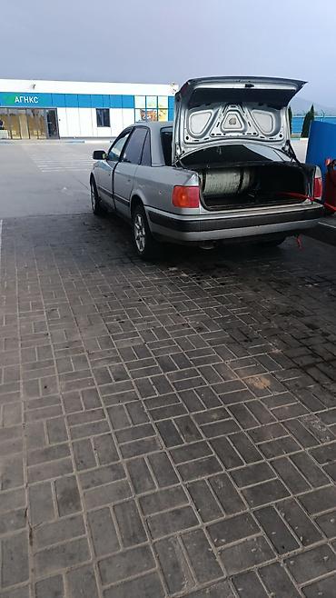 Audi: Audi 100: 1994 г., Седан — 3