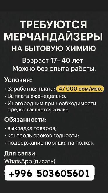 шым надомница: Вакансия: мерчандайзеры на бытовую химию Требования: - Возраст: 17–40