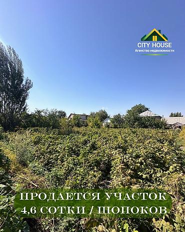 5: 4 соток, Для строительства, Договор купли-продажи, Красная книга — 1