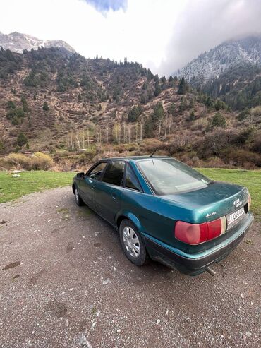 Audi: Audi 80: 1992 г., 2.3 л, Механика, Бензин, Седан