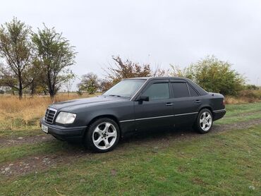 Mercedes-Benz: Mercedes-Benz W124: 1995 г., 3.2 л, Автомат, Газ, Седан