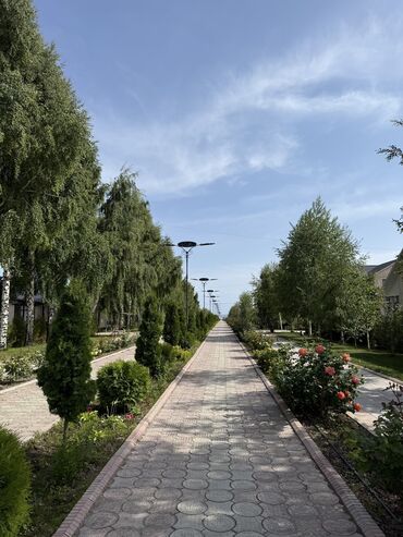 Иссык-Куль 2025: Коттедж, ЦО Asia Palace, Сары-Ой, Детская площадка, Парковка, стоянка, Охраняемая территория — 14