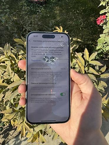 Apple iPhone: IPhone 14 Pro, Серебристый, 100 % — 4