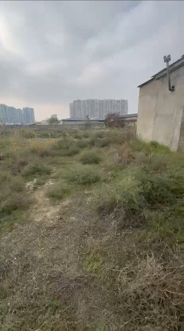 Torpaq sahələrinin satışı: 32 sot, Biznes üçün, Mülkiyyətçi, Kupça (Çıxarış) — 5