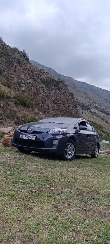 Toyota: Toyota Prius: 2011 г., 1.8 л, Автомат, Бензин, Хэтчбэк — 15