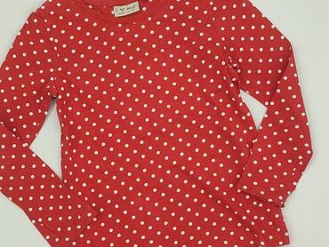 Sweatshirt, Next, 4-5 years, 104-110 cm, condition - Perfect
