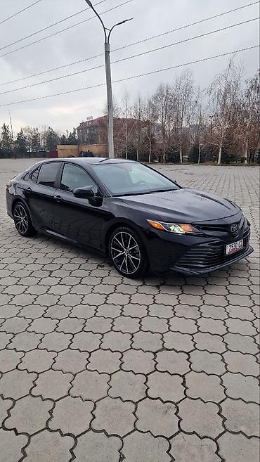 Toyota: Toyota Camry: 2019 г., Седан — 2