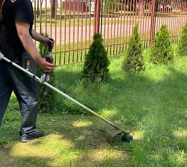 Другие услуги: Стрижка травы Стрижка газона Стрижка Изгороди Садовник с опытом — 3