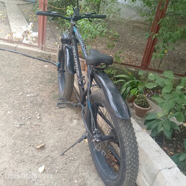 kişi velosipedləri: Fat təkərli velosiped təklif olunur. Velosiped tünd rəngdədir və kobud