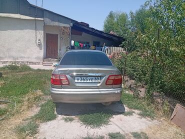 литые диски опель омега б: Nissan Bluebird: 2002 г., 1.8 л, Автомат, Газ, Седан