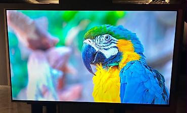 oculus quest 1: SkyBerg 55" Android TV – 4K UHD Xüsusiyyətlər: - Ekran: 55 düym, 4K — 2