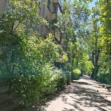 центральная мечеть: 2 бөлмө, 45 кв. м, 104-серия, 4 кабат, Эски ремонт