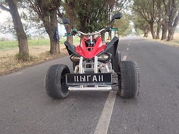 Квадроциклы: Квадроцикл Бензин, 250 куб. см, Взрослый at lalafo.kg — 16 Квадроциклы: Квадроцикл Бензин, 250 куб. см, Взрослый — 16