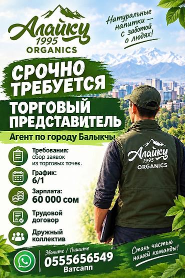 Требуется Торговый агент, График: Шестидневка, 1-2 года опыта, Официальное трудоустройство, Полный рабочий день at lalafo.kg Требуется Торговый агент, График: Шестидневка, 1-2 года опыта, Официальное трудоустройство, Полный рабочий день