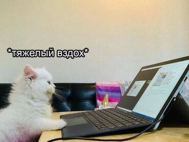 ош базар помещение: Нужна работа