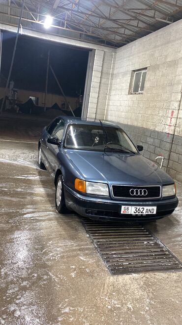 токмок рио: Audi 100: 1991 г., 2.3 л, Механика, Газ, Седан