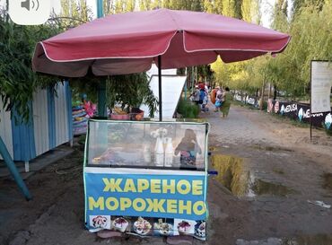 газон бишкек: Аппарат для жареного мороженого Требуются технические обслуживание!!