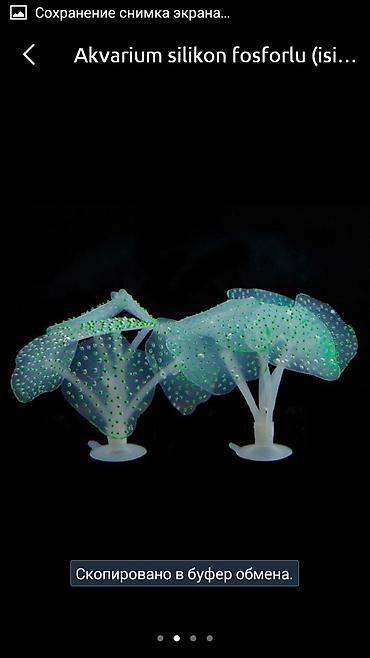 Lampalar: Akvarium silikon isiqveren deniz ati — 5