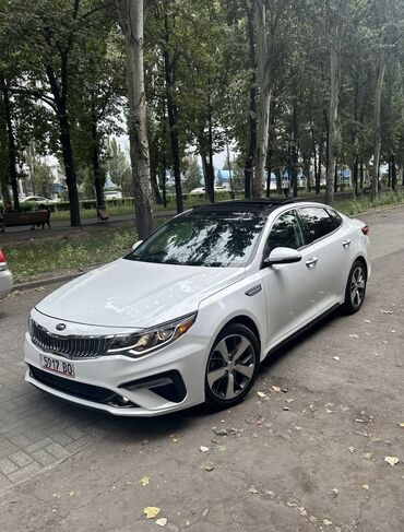 Kia: Kia Optima: 2019 г., 2.4 л, Автомат, Бензин, Седан — 3