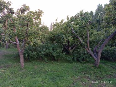 продаю дом в бишкеке: Квартира, ЦО Chaika Resort, Бает, Парковка, стоянка