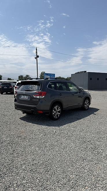 outback 2004: Subaru Forester: 2020 г., Кроссовер — 7