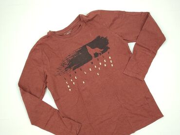 Sweatshirt, Destination, 14 years, 158-164 cm, condition - Perfect
