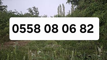 8 соток, Красная книга — 3