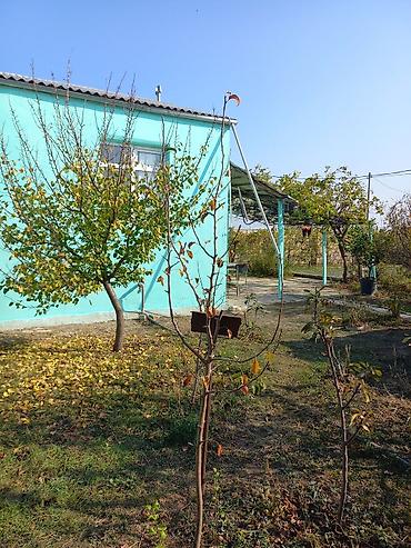 Bağ evlərinin satışı: Zeynalabdin Tağıyev, 90 kv. m, 3 otaqlı, Hovuzsuz — 15