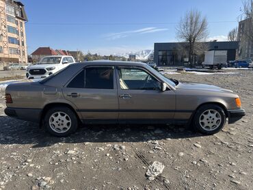 Mercedes-Benz: Mercedes-Benz W124: 1989 г., 2 л, Механика, Бензин, Седан