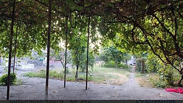 seki torpaq: 6 sot, Tikinti, Mülkiyyətçi, Kupça (Çıxarış) — 6