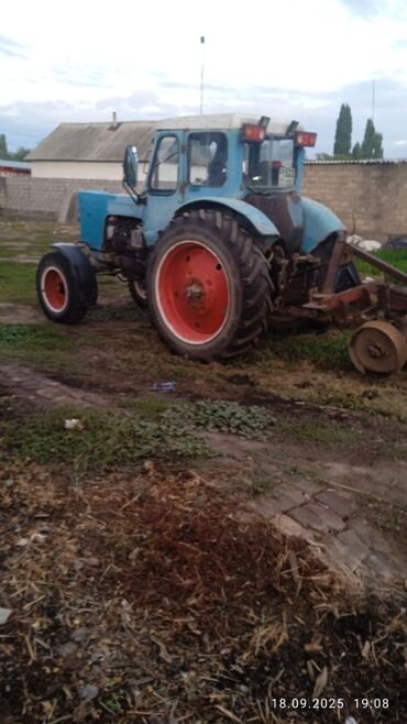 Тракторы МТЗ (Беларус): Продаю МТЗ 50 двигатель 80,Плуг, Бороон, в хорошем состоянии цена — 12