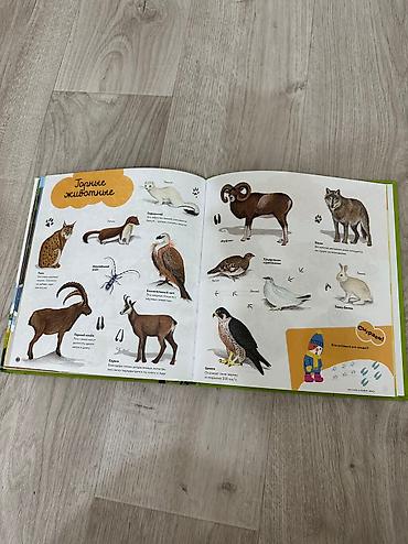 Игрушки: Детские книжки с красивейшей иллюстрацией, развивающие и — 7