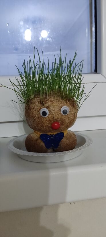хвойные растения: Кукла с травяной головой остались 2 штуки