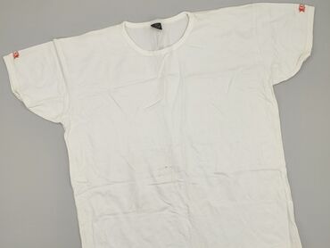 T-shirts: T-shirt for men, L (EU 40), condition - Good