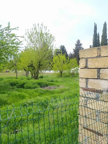 Torpaq sahələrinin satışı: 62 sot, Biznes üçün, Mülkiyyətçi, Kupça (Çıxarış) — 10