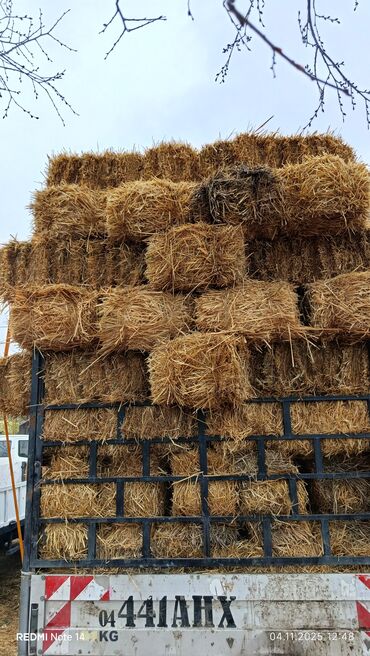 наполнитель для животных: С доставкой - Форма: прямоугольные тюки, удобные для ручной погрузки