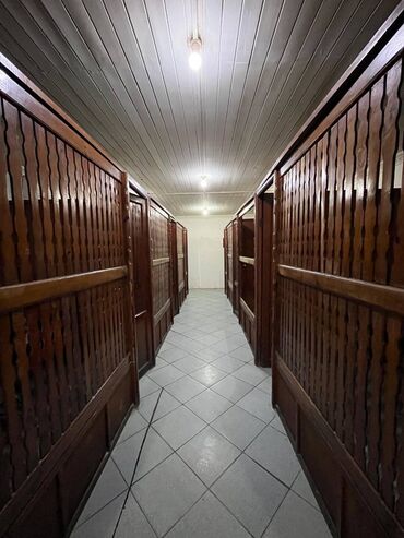 Kommersiya daşınmaz əmlakının satışı: Nəsimi rayonu, 28 May metrosu ərazisində, mərkəzi küçədə, ümumi sahəsi -da lalafo.az — 5 Kommersiya daşınmaz əmlakının satışı: Nəsimi rayonu, 28 May metrosu ərazisində, mərkəzi küçədə, ümumi sahəsi — 5