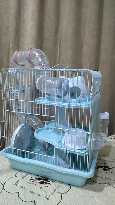 ucuz sifaner: Продаются 2 клетки для хомяков в идеальном состоянии.Hamster üçün tam — 2