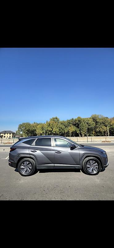 tucson 2020: Hyundai Tucson: 2023 г., 1.6 л, Автомат, Гибрид, Кроссовер — 4