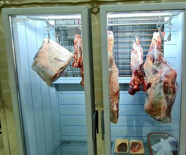 Kommersiya daşınmaz əmlakının satışı: Yasamal rayonu ərazisində ət məhsulları üçün saxladılma soyuducuları — 7