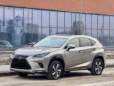 Lexus: Lexus NX: 2019 г., 2 л, Автомат, Бензин, Кроссовер — 3