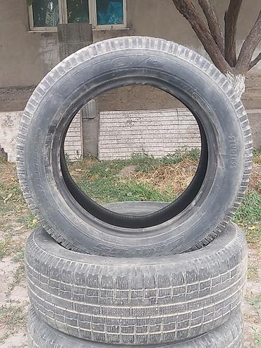 lining pantera: Комплект зимних шин Toyo Observe Garit G5. - Размер: 205/60 R16 92Q — 2